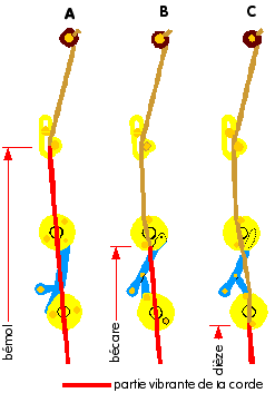 Croquis fourchettes